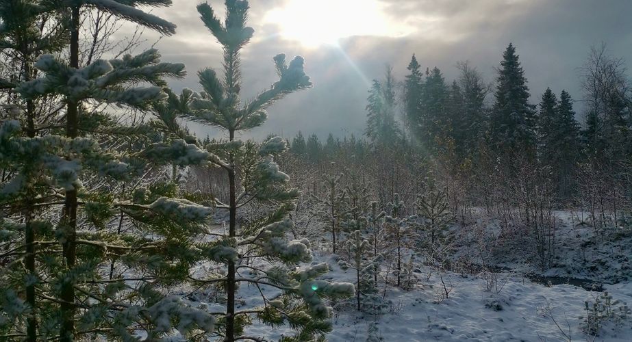 Prachtig landschap van Zweden